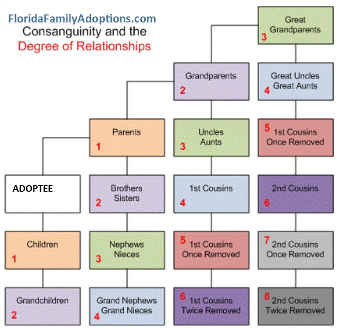 Florida Relative Adoption Forms