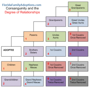 Florida Consanquinity Relationship Chart